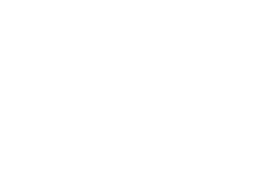 LIPSI beauty